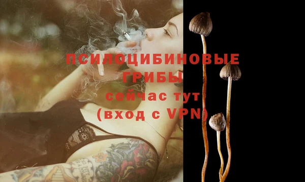 бутират Липки