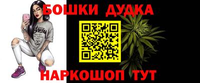 индика Ликино-Дулёво
