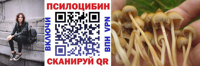 Псилоцибиновые грибы Psilocybine cubensis  цены наркотик  Чебаркуль 